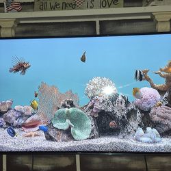 LG 60" HD FLAT Screen tv