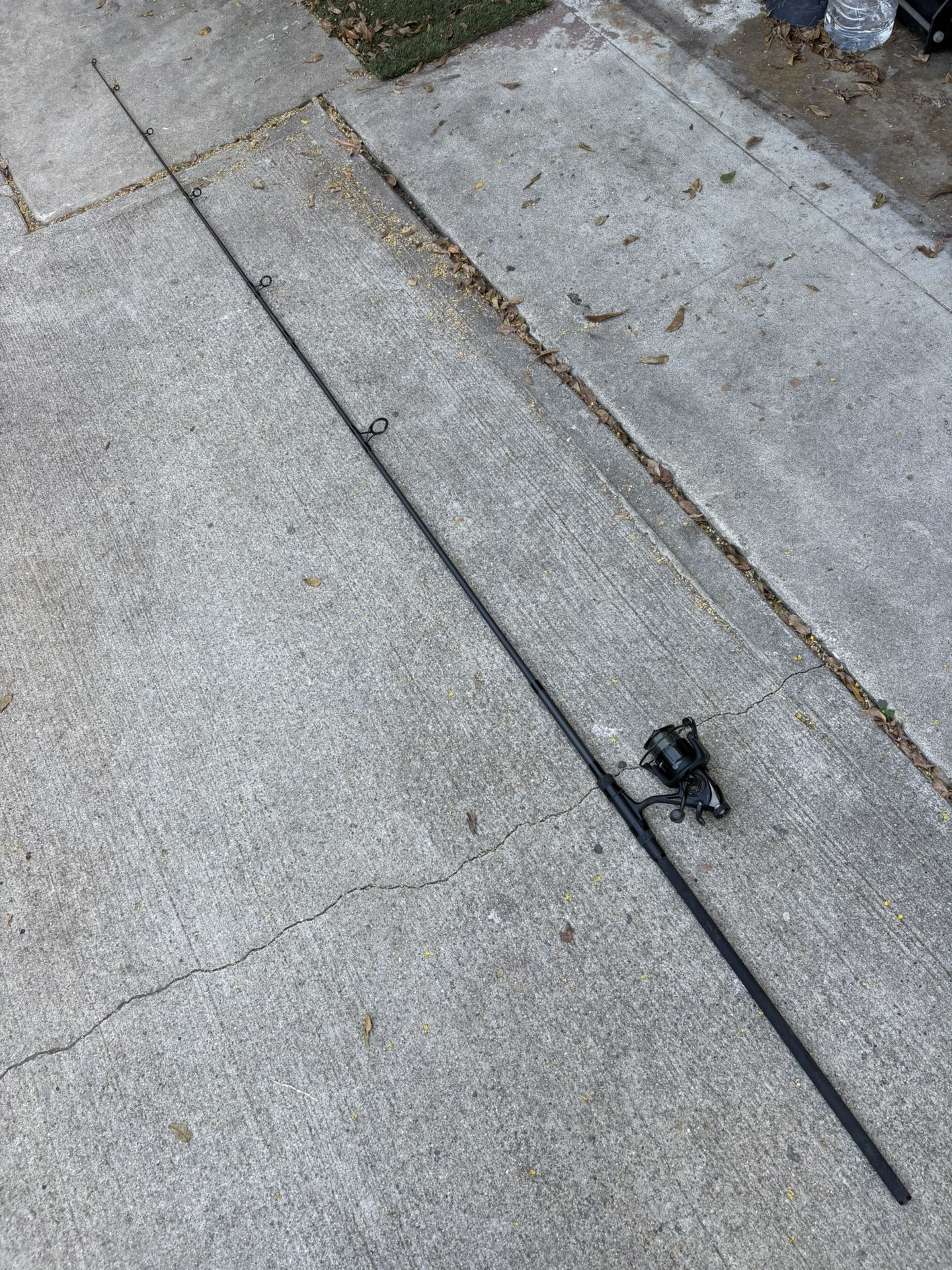 Fishing’s rod and reel