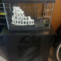30 Gallons. Fish Tank And Stand