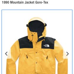 1990/20 North face Gortex Jacket