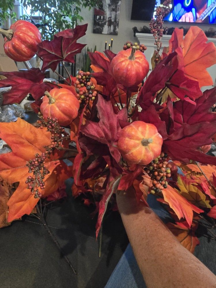 Stunning Fall Foliage! Fall Colors And Pumpkins And Berries!