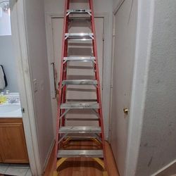 Werner Ladder 