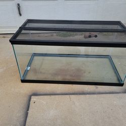 40 Gallon Reptile Enclosure 