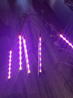 Grow light