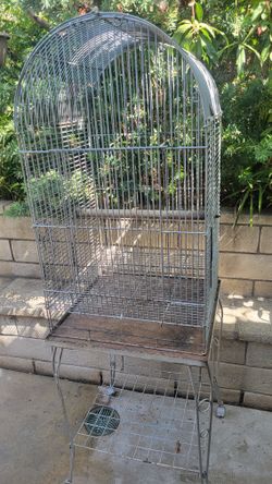 Bird Cage