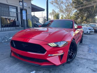 2019 Ford Mustang