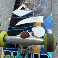 BLIND SKATEBOARD