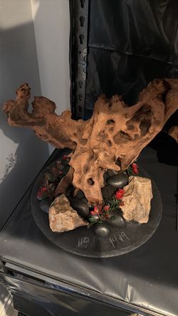 Blood parrot decoration
