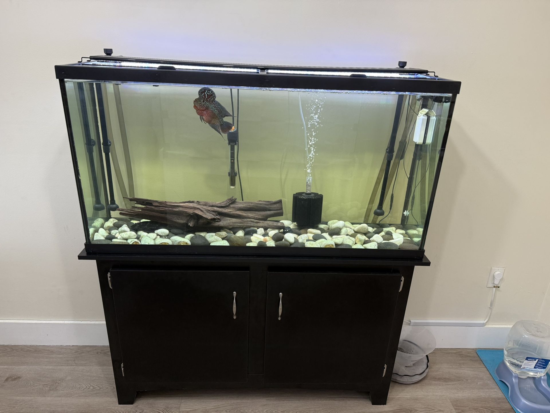 Fish Tank and Stand