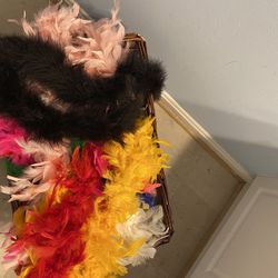 Assorted Colorful Feather Boas