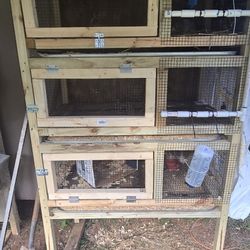 Quail/rabbit Hutch Copp