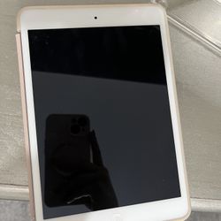 iPad Mini With Case 
