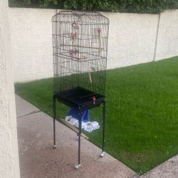 Bird Cage 
