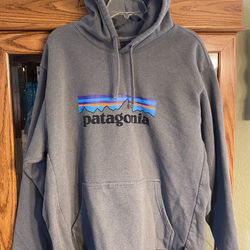 Adult Patagonia Brand Pullover Hoodie 