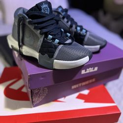 LEBRON WITNESSES VIII Size 4 Kids
