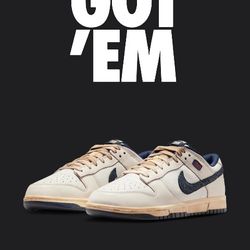 Nike Dunk Low ' Stranger Things'