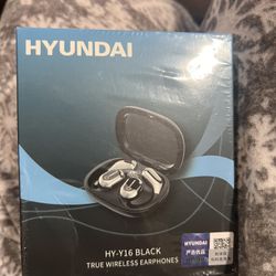 Translated Earphones (multiple Languages)