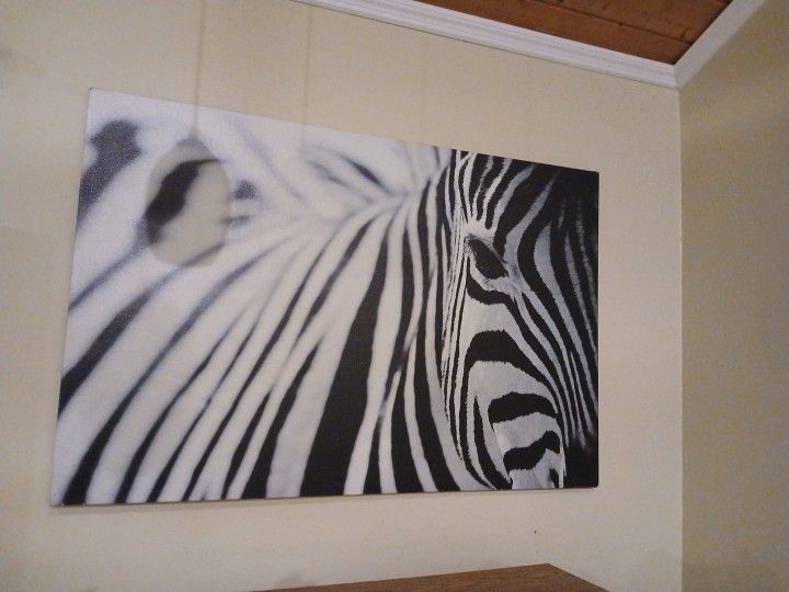 Huge Black & White Zebra Hanging Picture