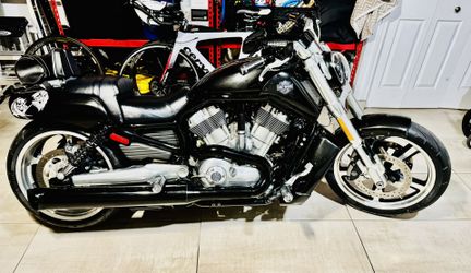 2015 Harley Davidson VRod Muscle Custom