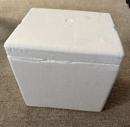 Free styrofoam cooler