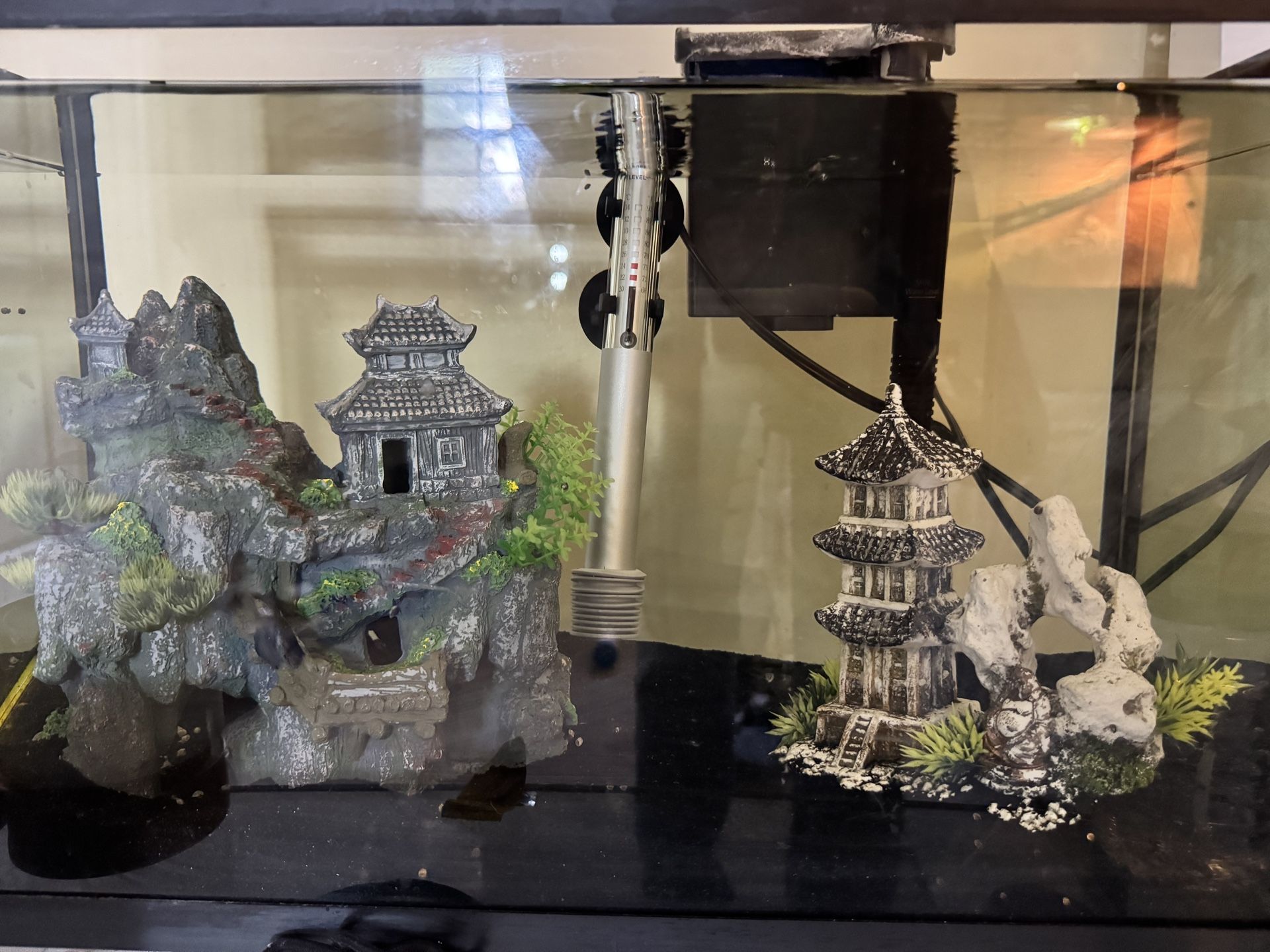 Fish Tank
