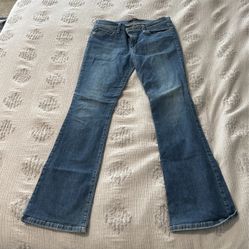 Women’s Joes Jeans | 29