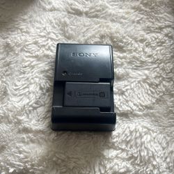 Sony NP-FW50 battery and its charger.