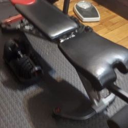 Gym Equipment 