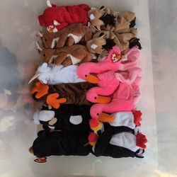 Beanie Baby Collection 50 Pieces