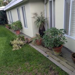 Planters Large And Small