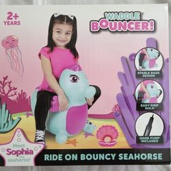 Waddle Bouncer - Seahorse