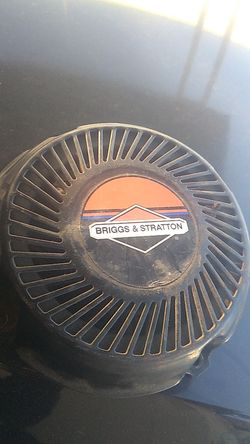 Briggs Stratton pulls tart