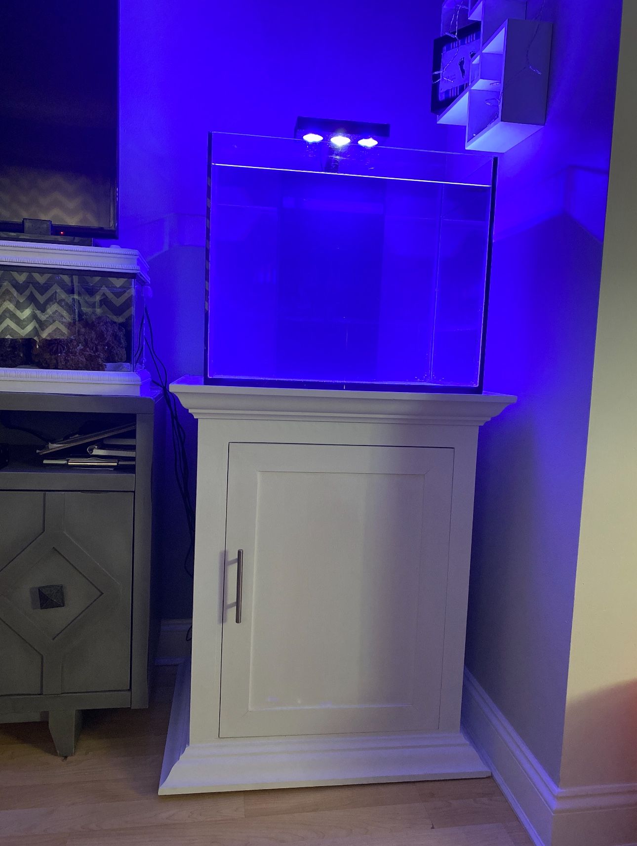 Red Sea Reefer 170 Complete Set Up  