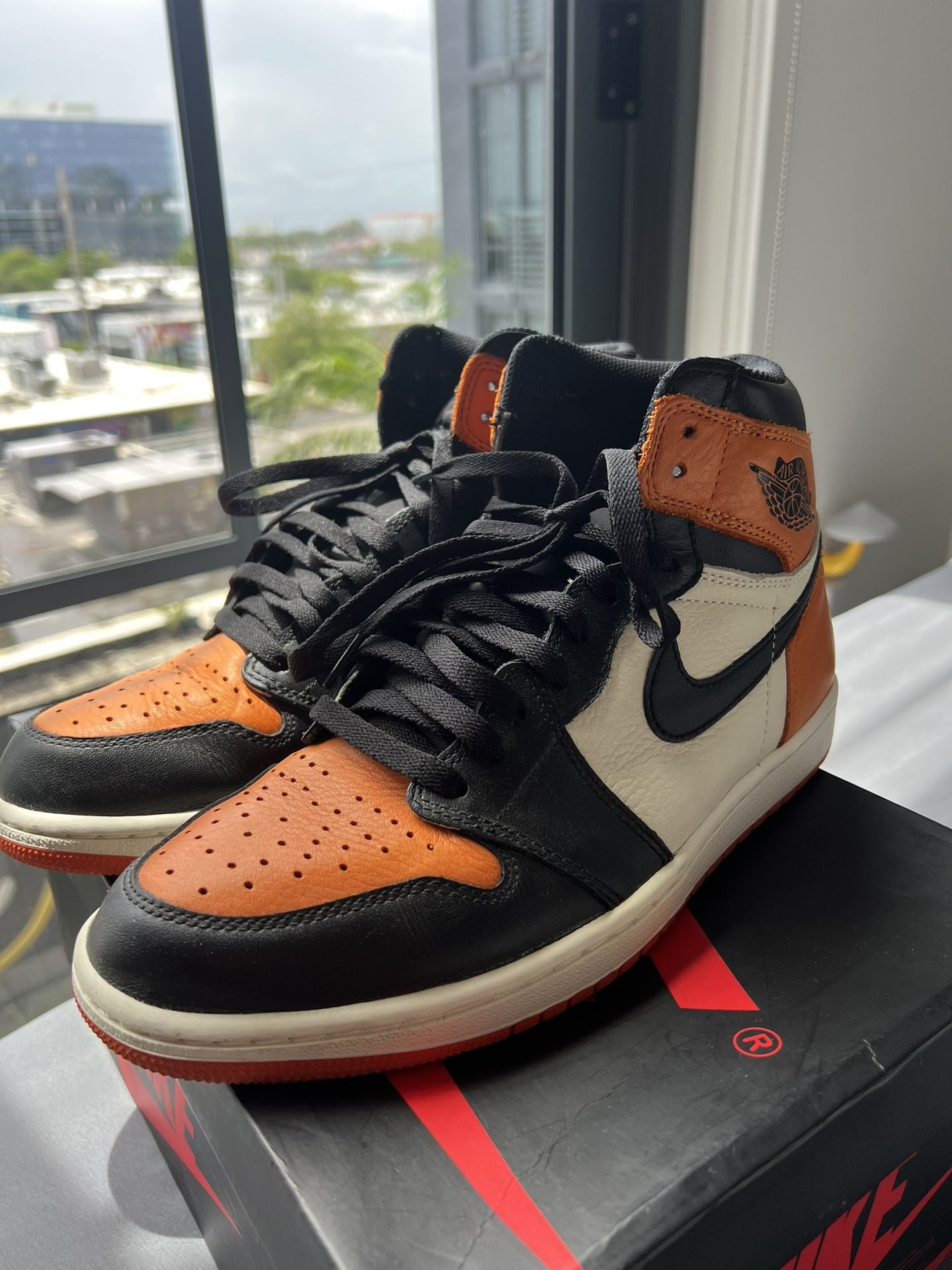 Jordan 1 Size 10