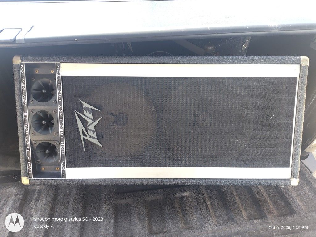 Peavey Tall Speaker Duo 