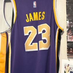 Lebron James Jersey