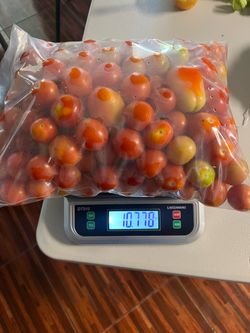 Fresh tomatoes