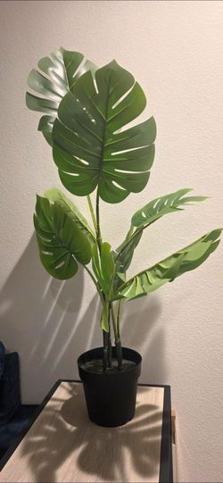IKEA Faux Monstera Plant 🌿