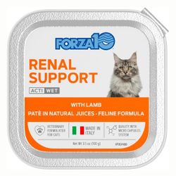 Cat Renal Support Paté Food Kidney Disease