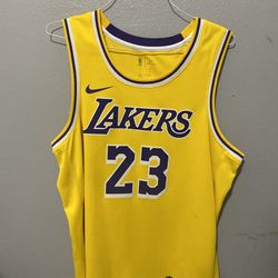 Lakers LeBron james 23