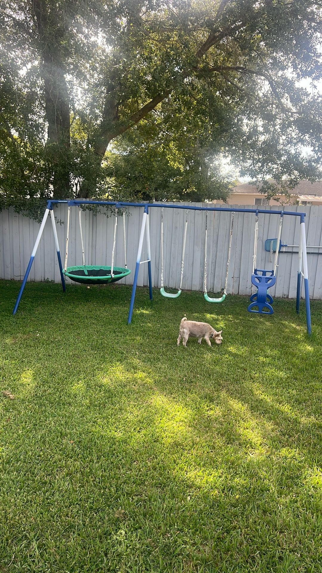 Swing Set