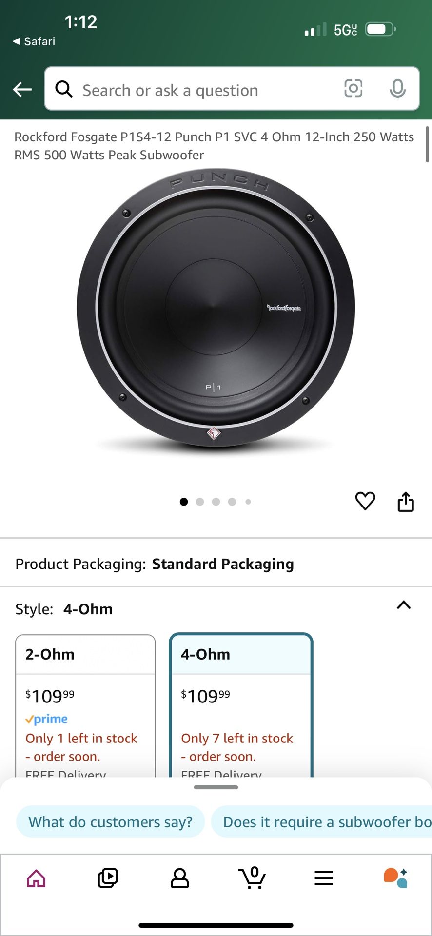 2 10 Inch Subwoofers