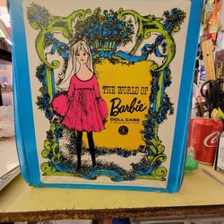 The World Of Barbie Doll Case