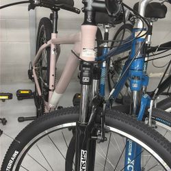 Batch Mtn Bike Dust Rose