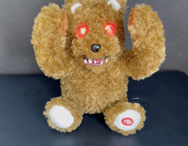 New In Box Peekaboo Bear