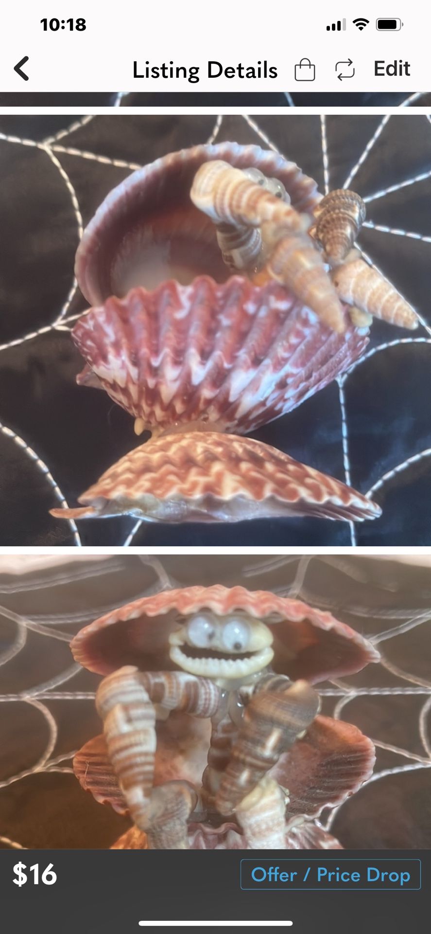 Soooo Cute Shell ’man’