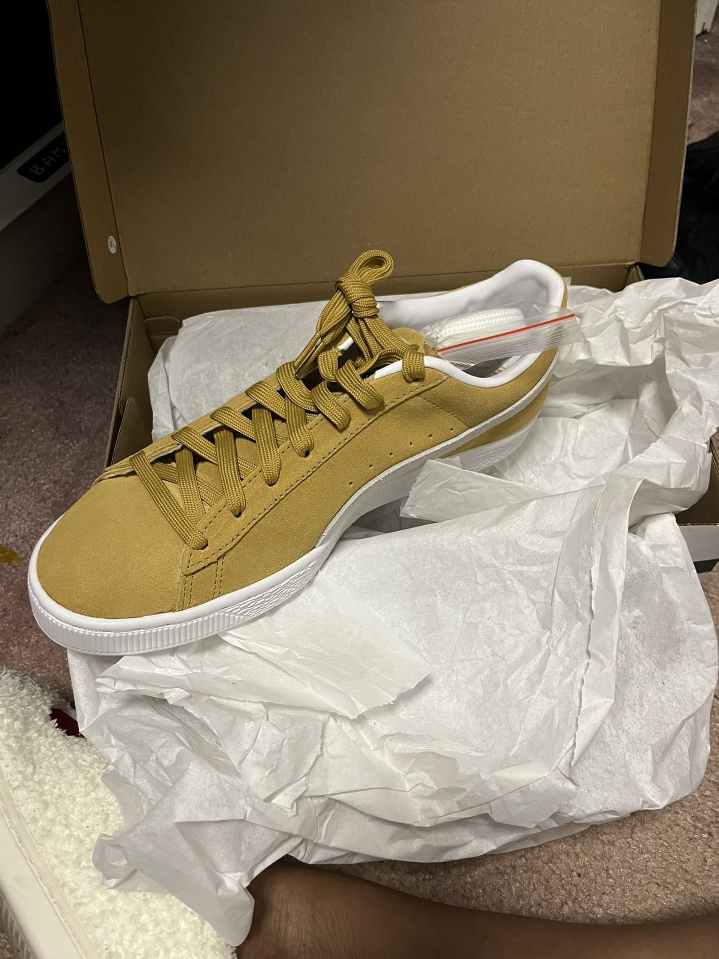 Puma