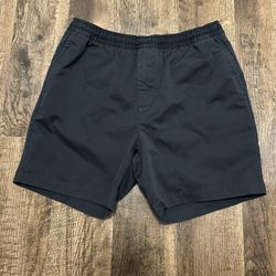 Nike SB shorts
