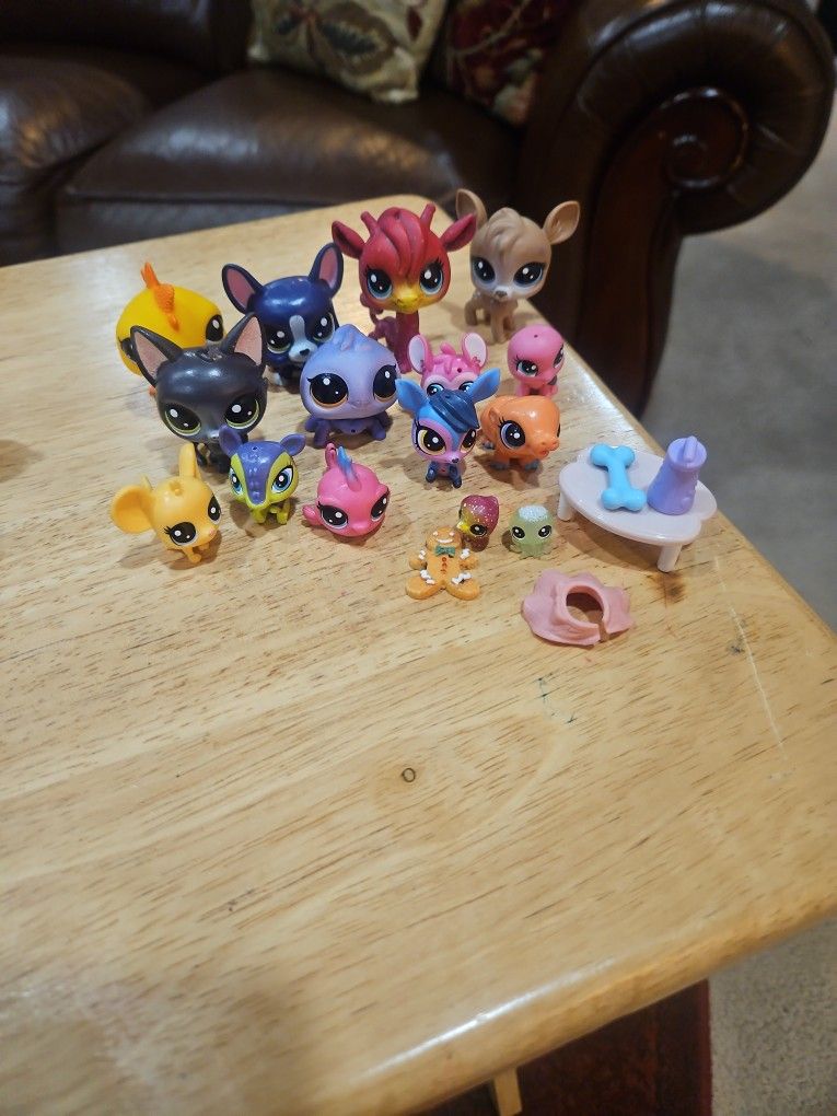 LPS Dolls .... Bundles
