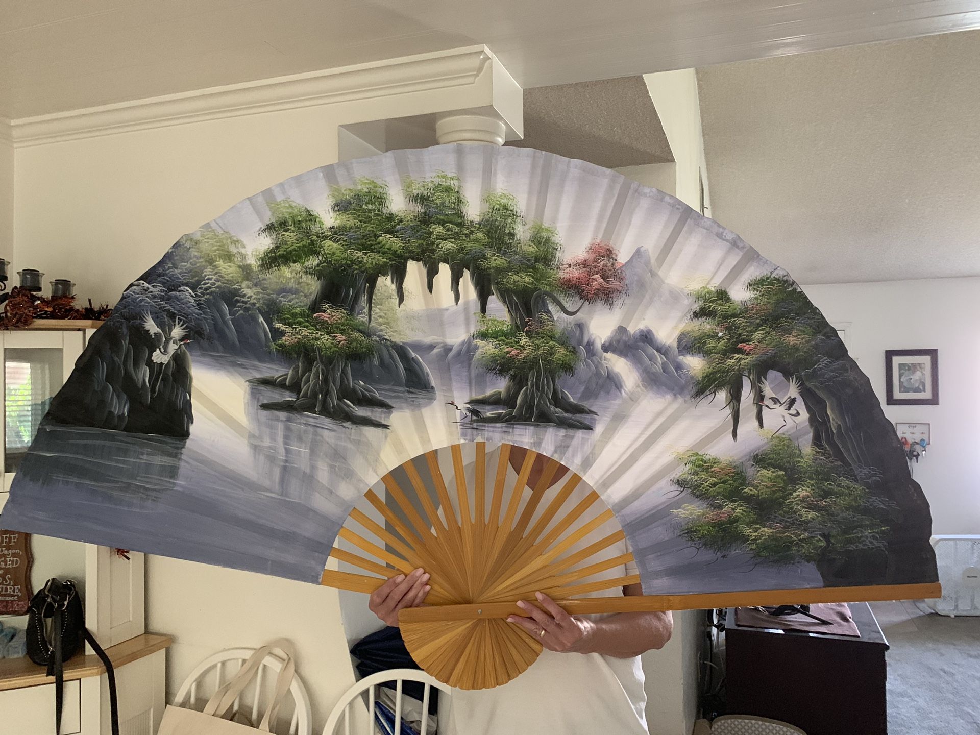 Hand painted fan art